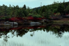 Cadillac Mountain