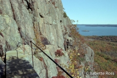 The Precipice