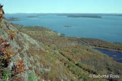 The Precipice - Summit