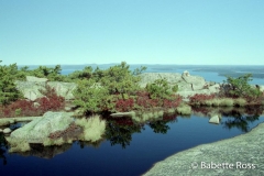 The Precipice - Summit