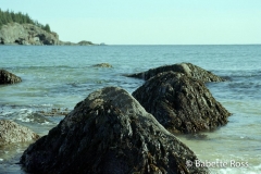 Sand Beach