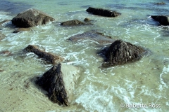 Sand Beach