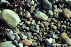 Loop Road Beaches - Rocks
