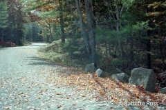 Carriage Roads