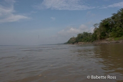 Amazon River
