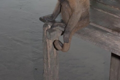 Monkey Island