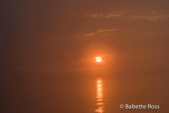 Amazon River - Foggy Sunrise