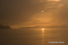 Amazon River - Foggy Sunrise