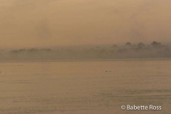 Amazon River - Foggy Sunrise