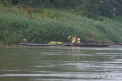 Amazon River