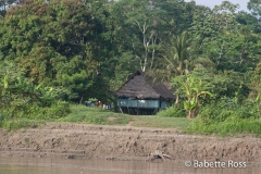 Amazon River