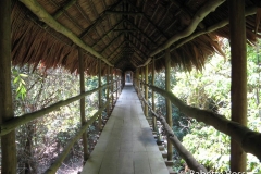 Explorama Lodge - Napo Lodge