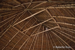 Inside a Yagua Hut