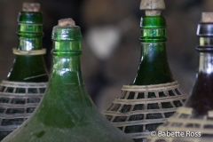 Amazon River - Rum Maker