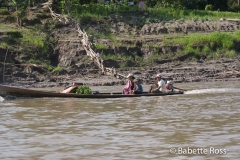 Amazon River