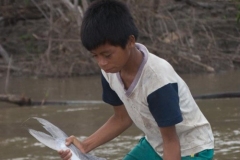 Amazon River