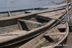 San Luis Boats