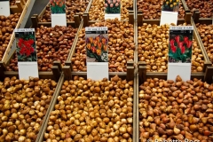 Amsterdam Bulbs