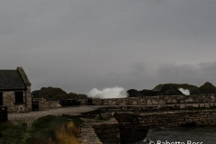 Ballintoy Harbour