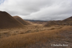 between Wanaka & Aoraki