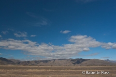 between Wanaka & Aoraki