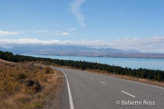 between Wanaka & Aoraki