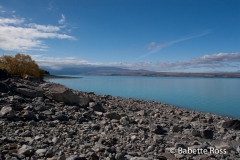 between Wanaka & Aoraki