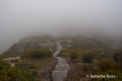 Red Tarns Track