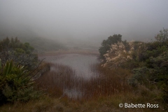 Red Tarns Track