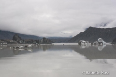 Icebergs on Tasman Glacier Lake