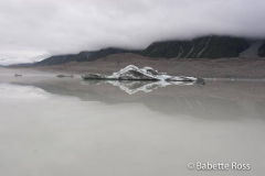 Icebergs on Tasman Glacier Lake