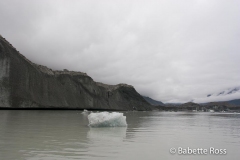 Icebergs on Tasman Glacier Lake