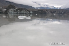 Icebergs on Tasman Glacier Lake