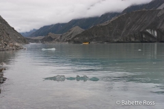 Icebergs on Tasman Glacier Lake