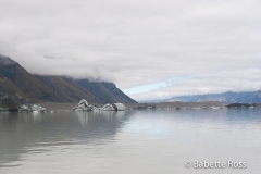 Icebergs on Tasman Glacier Lake