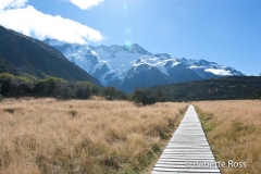 Hooker Valley Track