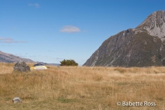 Hooker Valley Track