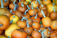 Pumpkins