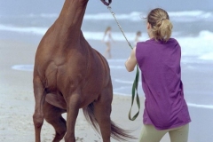 Assateague
