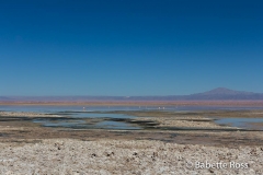 Salar de Atacama