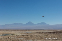 Salar de Atacama
