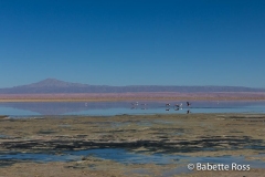 Salar de Atacama