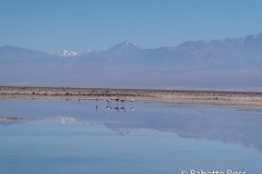 Salar de Atacama