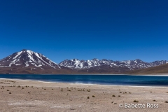 Miscanti Lagoon