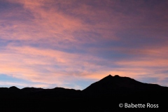 Tatio Geysers