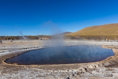 Tatio Geysers