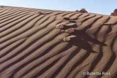 Valle de la Luna (Moon Valley)
