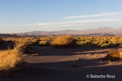 Valle de la Luna (Moon Valley)