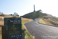One Tree Hill