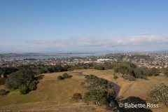 One Tree Hill Vista